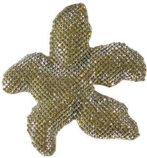 Accessory 12