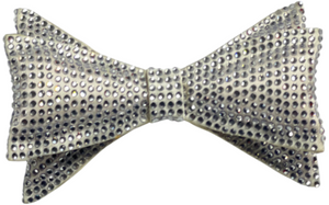 Accessory 13