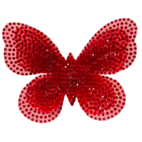 Accessory 1