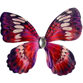Accessory 4