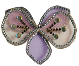 Accessory 6