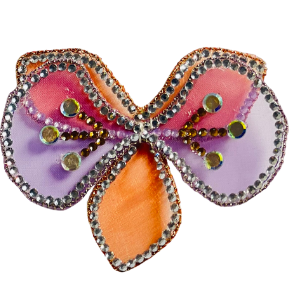 Accessory 7